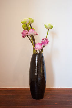House Boutique Eco