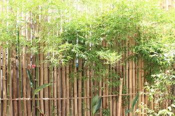 House Boutique Eco Hotel Phnom Penh